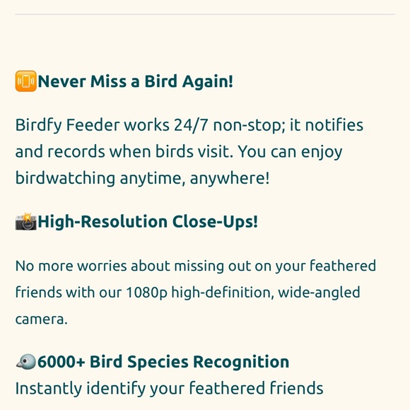 Birdify Feeder - Picture 2 of 3